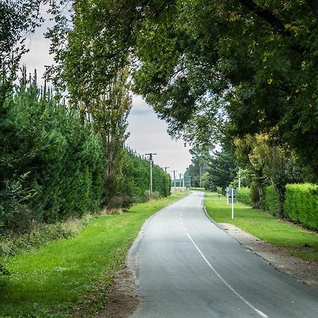 Mount Thomas Road B&B ランギオラ エクステリア 写真