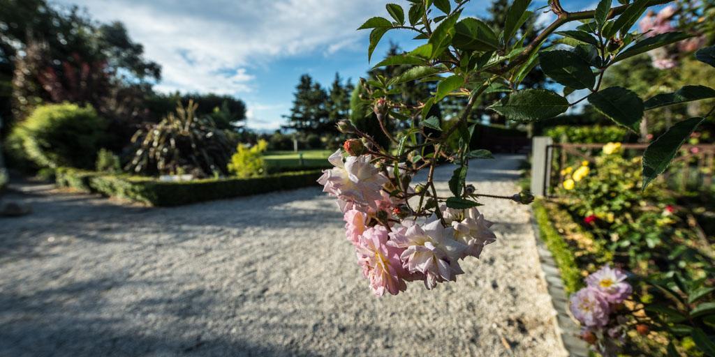 Mount Thomas Road B&B ランギオラ エクステリア 写真